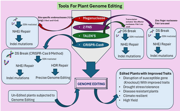 Graphical Abstract